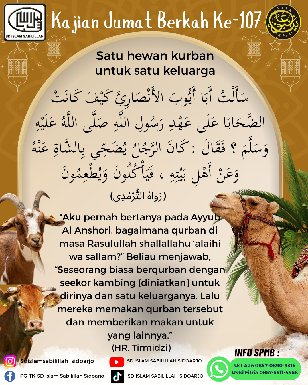 blog-thumb